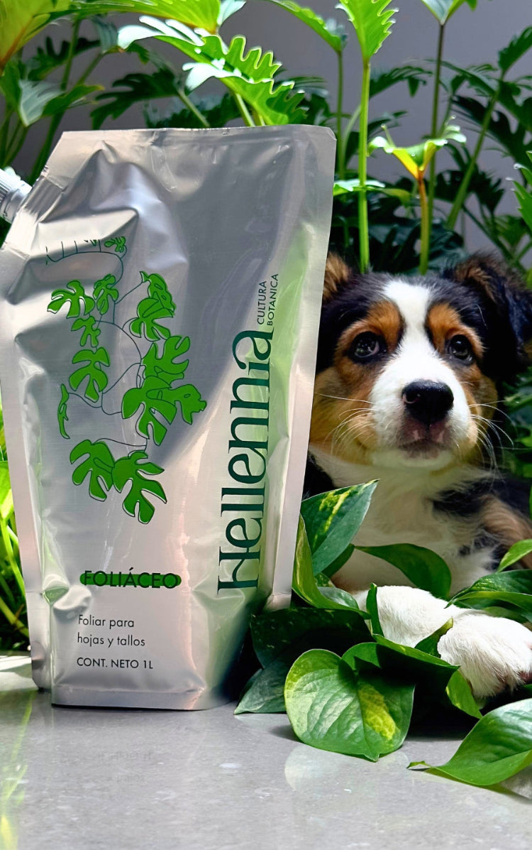 FOLIÁCEO - Fertilizante Orgánico Líquido para Plantas