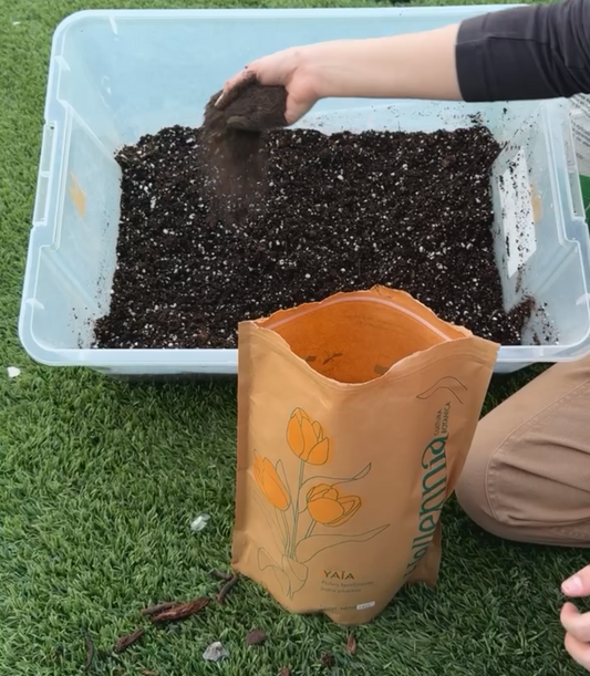 🌱 Cómo preparar tierra para charolas de siembra (Guía completa paso a paso)