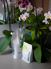 Maceta para Orquídeas 12cm