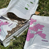 GAÏA 600g — Fertilizante Granulado Orgánico para Plantas de Interior y Exterior