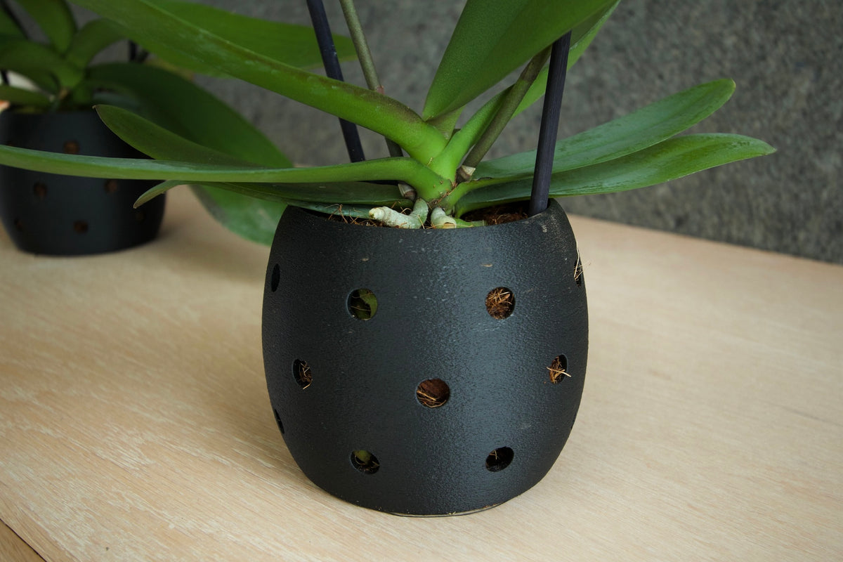 Maceta para Orquídeas 12cm