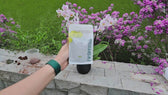 SAÏA — Fertilizante Orgánico para Orquídeas
